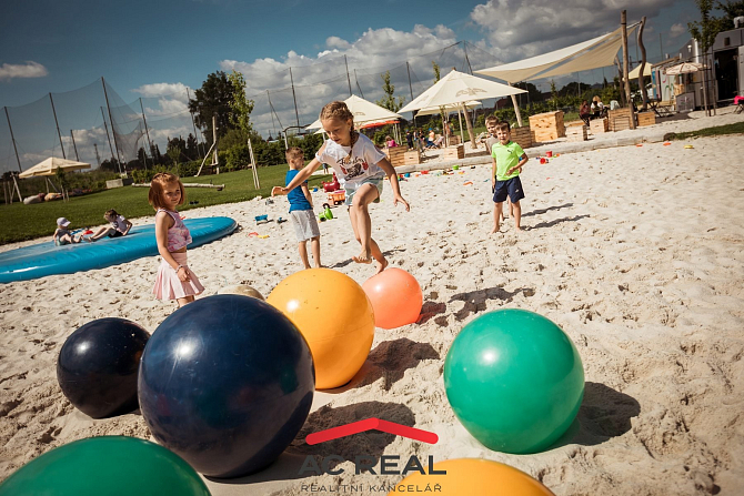 BD Pražákova okolí