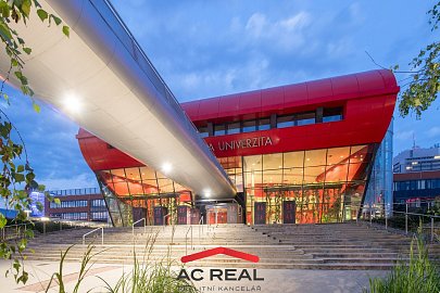 BD Pražákova okolí