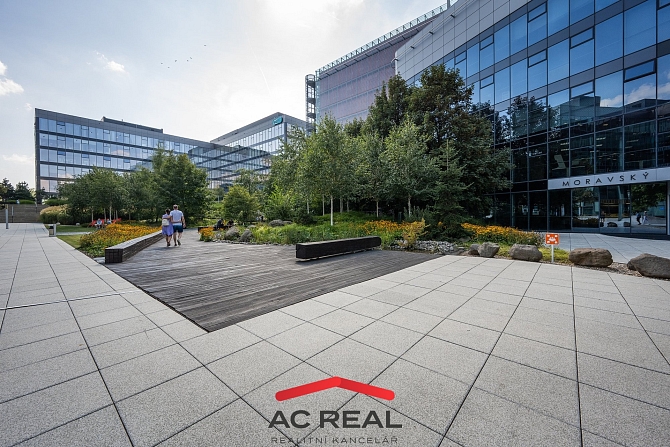 BD Pražákova okolí